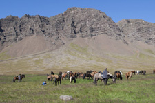 Iceland-Iceland Shorts-Snaefellsnes Beach Ride